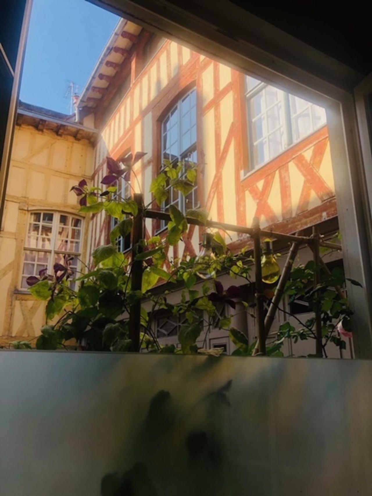 Apartmán Atelier Des Glycines, Troyes Bouchon De Champagne, Sublime Site Patrimonial Exteriér fotografie