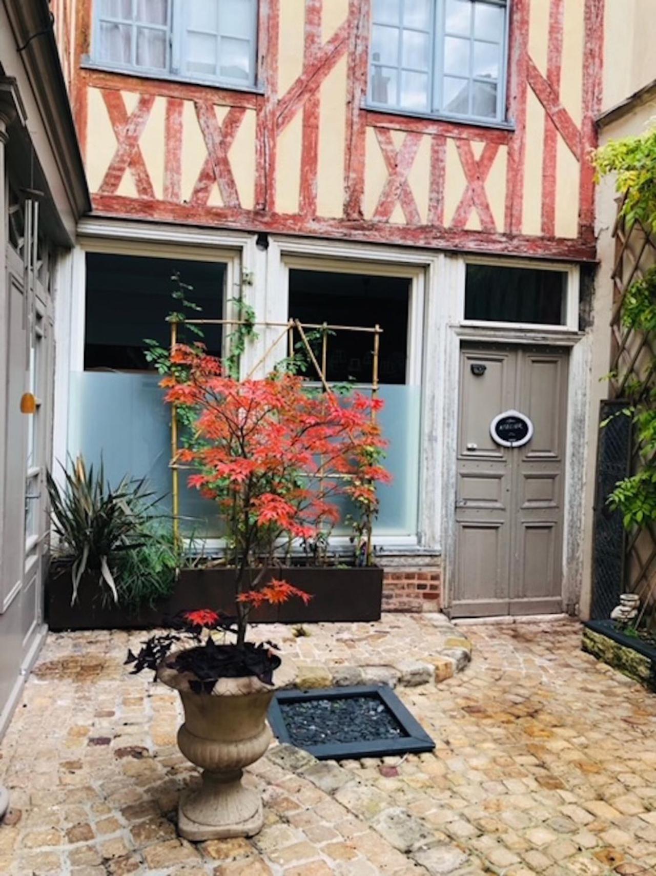 Apartmán Atelier Des Glycines, Troyes Bouchon De Champagne, Sublime Site Patrimonial Exteriér fotografie